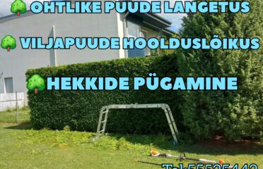 Ohtlike puude langetus, puude hoolduslõikus, hekkide pügamine