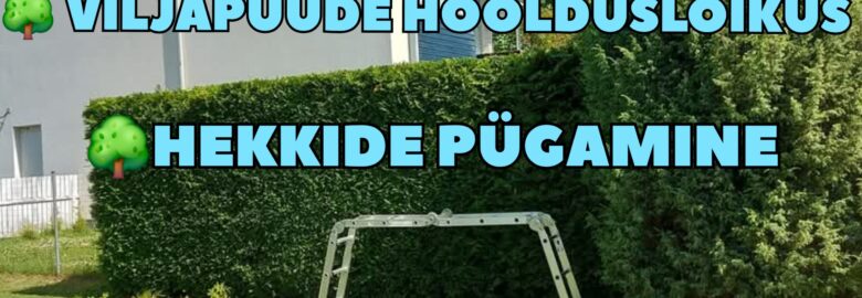 Ohtlike puude langetus, puude hoolduslõikus, hekkide pügamine