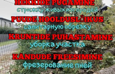 Ohtlike puude langetus, puude hoolduslõikus, hekkide pügamine