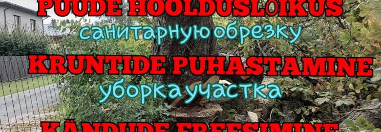 Ohtlike puude langetus, puude hoolduslõikus, hekkide pügamine